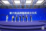 数字政务建设产业品牌集群在中国品牌建设联席会2023国际优势集群品牌大会上正式发布成立！我会作为秘书处之一